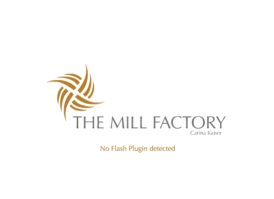 enter without Flash-Plugin